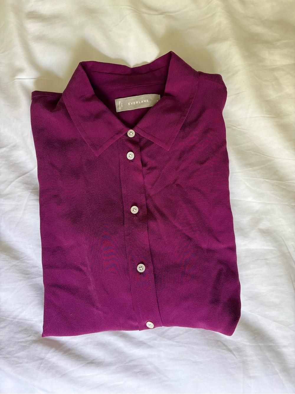 Everlane Women’s Silk Shirt